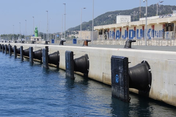 Estándar híper de la AIPCN 2002 de Omega de la defensa de Marine Safety Dock Cone Rubber