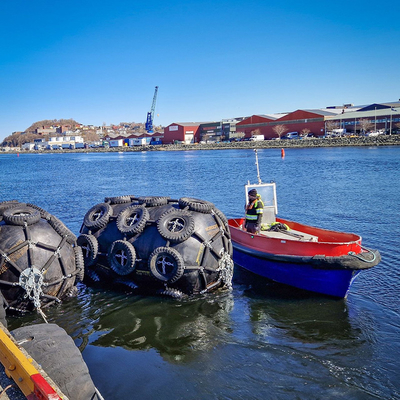 Alta compresión Marine Protection de la alta de la durabilidad defensa de goma del muelle